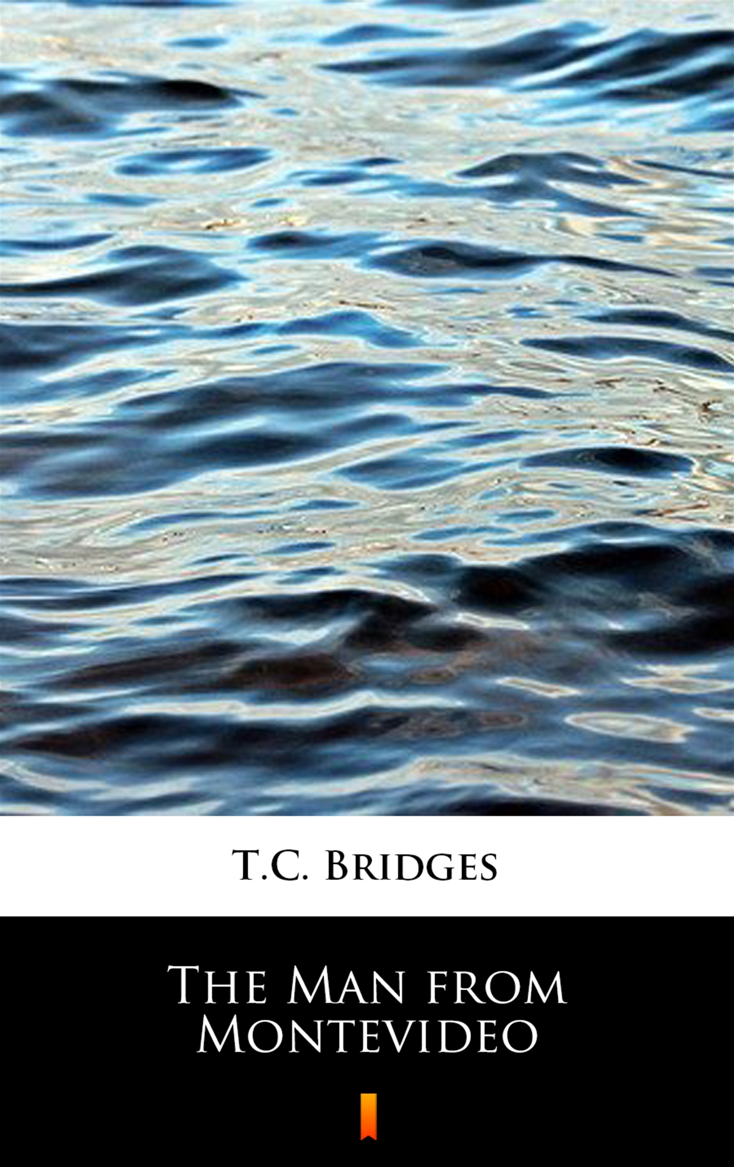 Tytuł: The Man from Montevideo
Autor: T.C. Bridges
Wydawnictwo: KtoCzyta.pl
Formaty: EPUB, MOBI