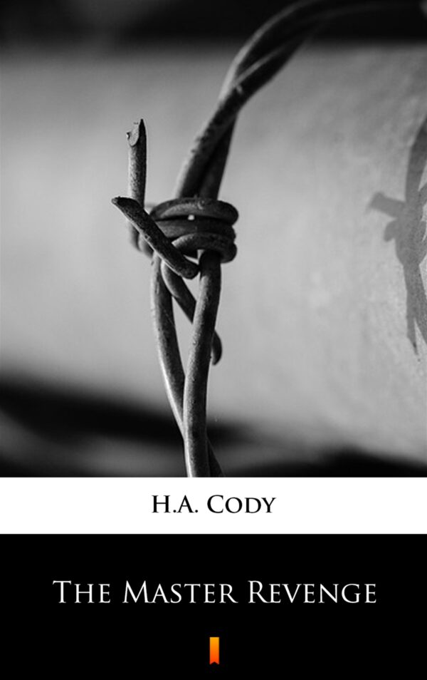 The Master Revenge — okładka e-booka