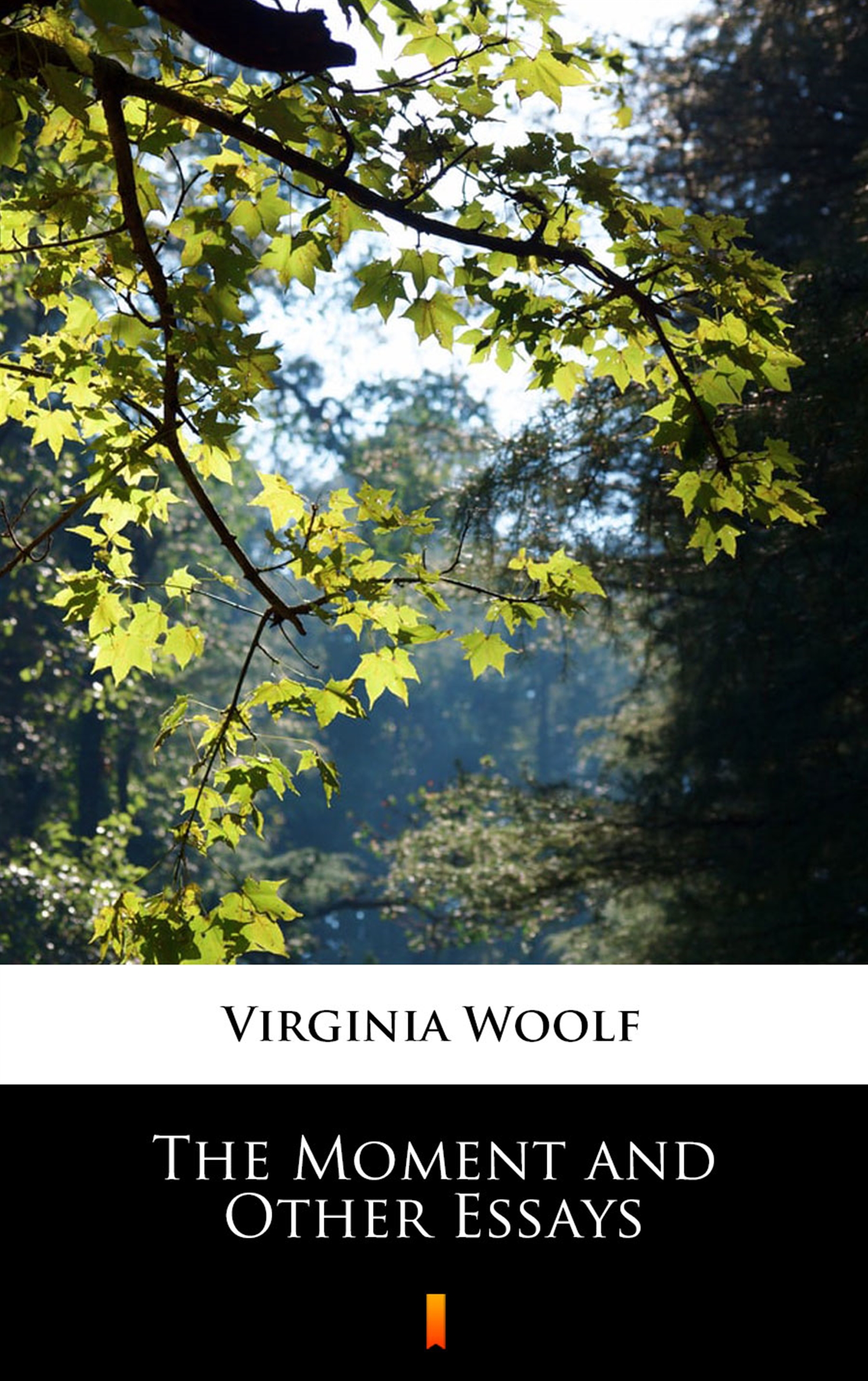 Tytuł: The Moment and Other Essays
Autor: Virginia Woolf
Wydawnictwo: KtoCzyta.pl
Formaty: EPUB, MOBI