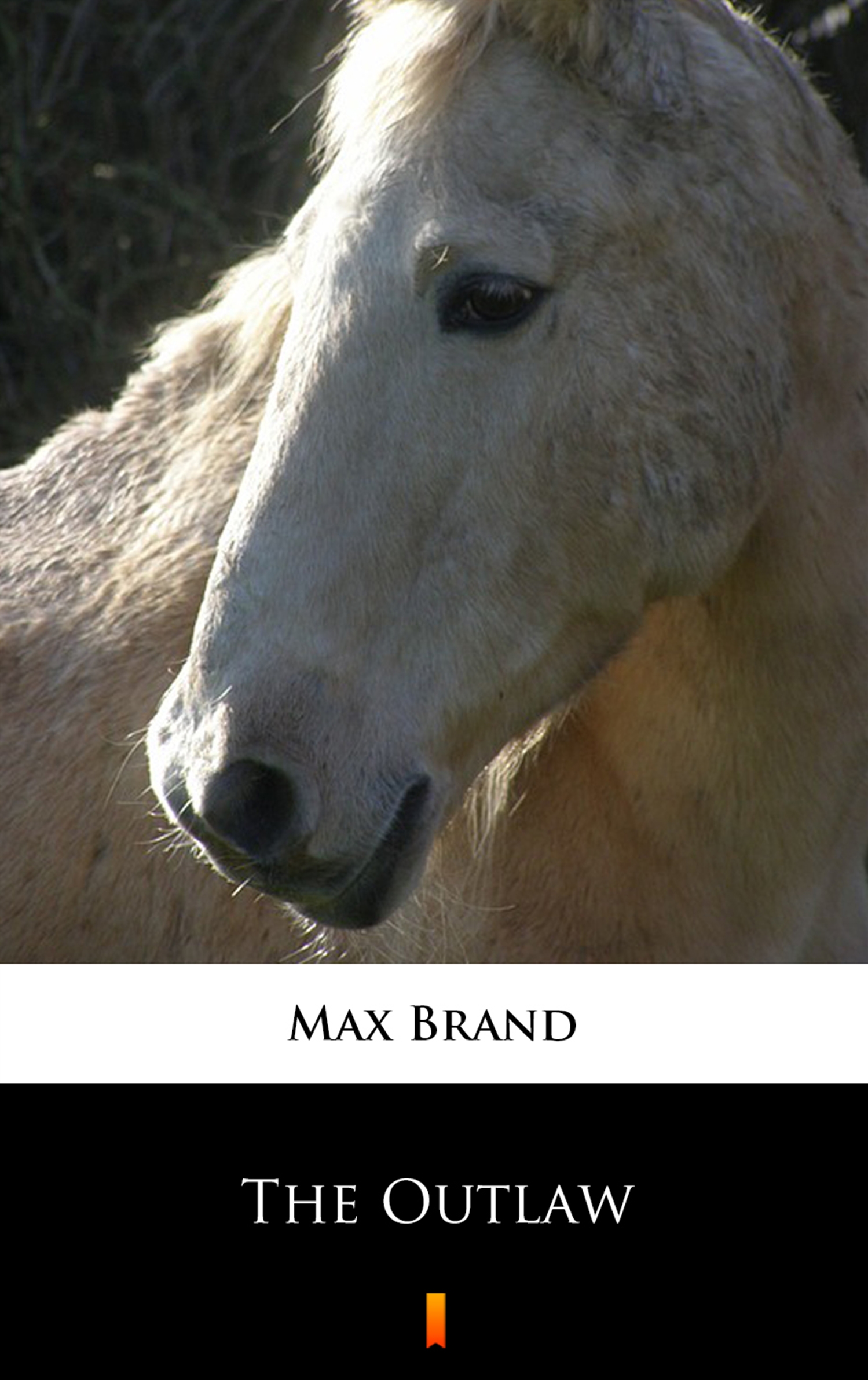 Tytuł: The Outlaw
Autor: Max Brand
Wydawnictwo: KtoCzyta.pl
Formaty: EPUB, MOBI