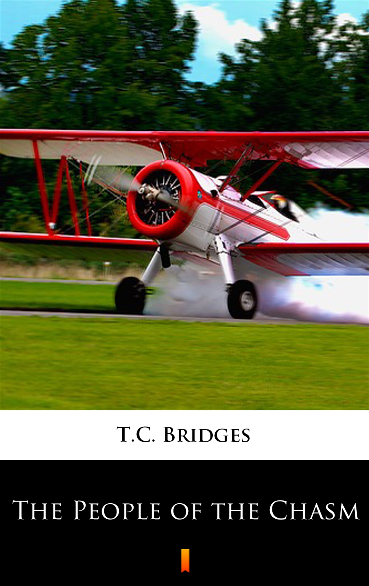 Tytuł: The People of the Chasm
Autor: T.C. Bridges
Wydawnictwo: KtoCzyta.pl
Formaty: EPUB, MOBI