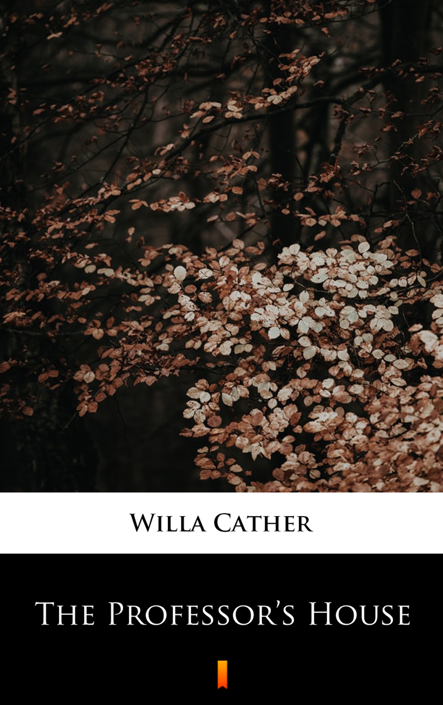 Tytuł: The Professor’s House
Autor: Willa Cather
Wydawnictwo: KtoCzyta.pl
Formaty: EPUB, MOBI