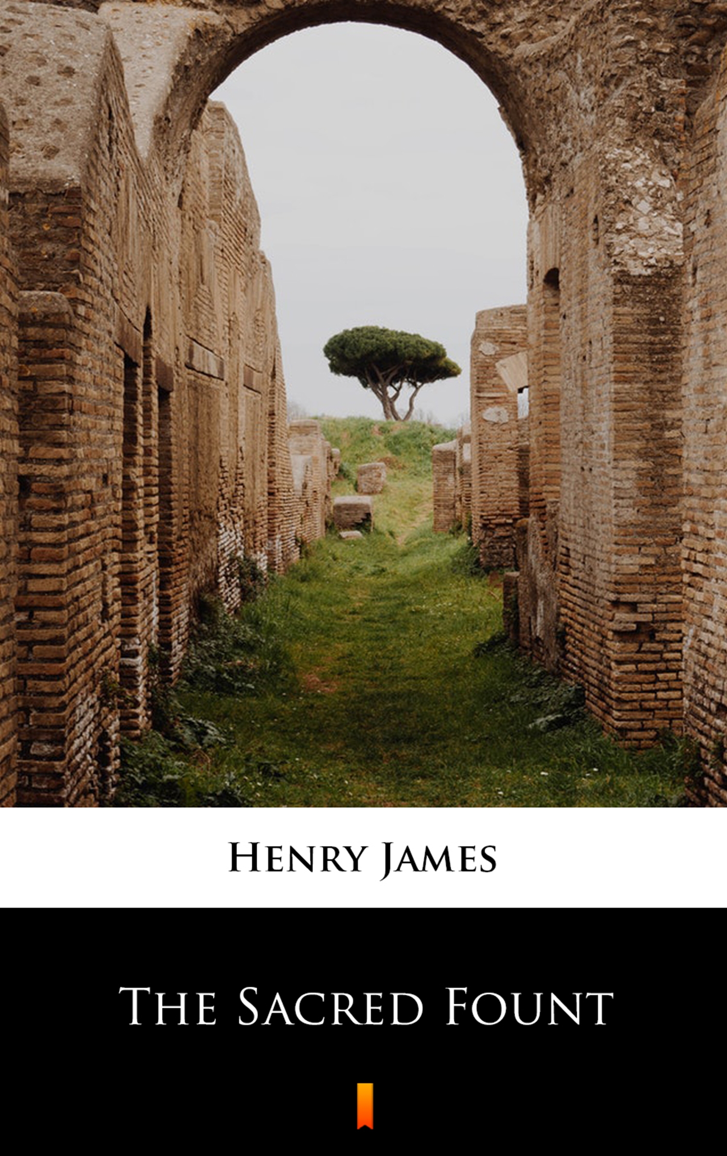 Tytuł: The Sacred Fount
Autor: Henry James
Wydawnictwo: KtoCzyta.pl
Formaty: EPUB, MOBI