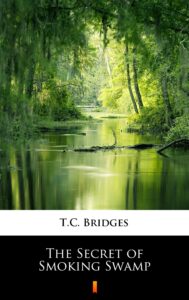 The Secret of Smoking Swamp — okładka e-booka