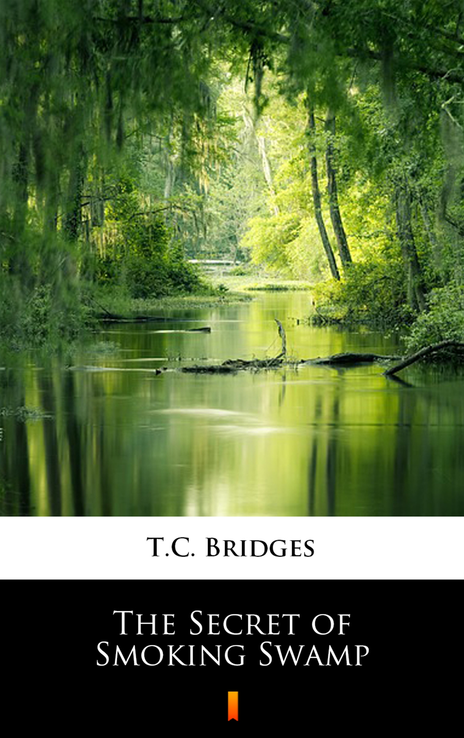 Tytuł: The Secret of Smoking Swamp
Autor: T.C. Bridges
Wydawnictwo: KtoCzyta.pl
Formaty: EPUB, MOBI