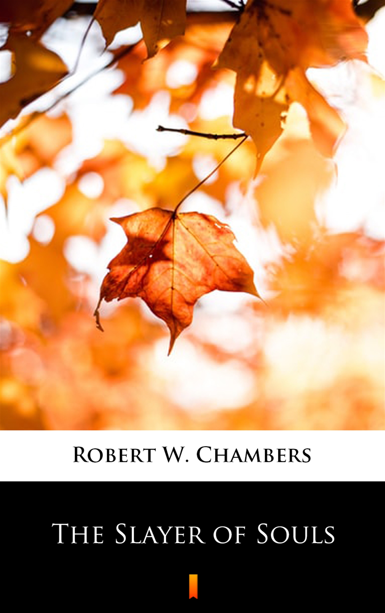 Tytuł: The Slayer of Souls
Autor: Robert W. Chambers
Wydawnictwo: KtoCzyta.pl
Formaty: EPUB, MOBI
