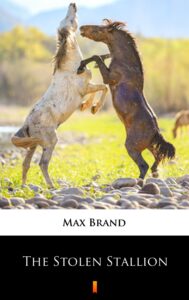 The Stolen Stallion — okładka e-booka