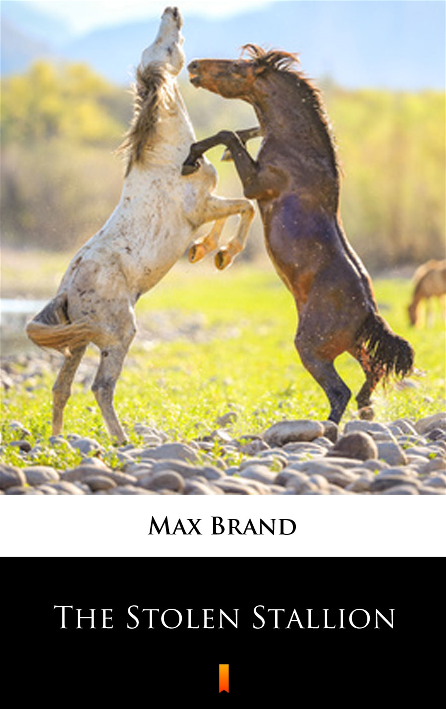 Tytuł: The Stolen Stallion
Autor: Max Brand
Wydawnictwo: KtoCzyta.pl
Formaty: EPUB, MOBI