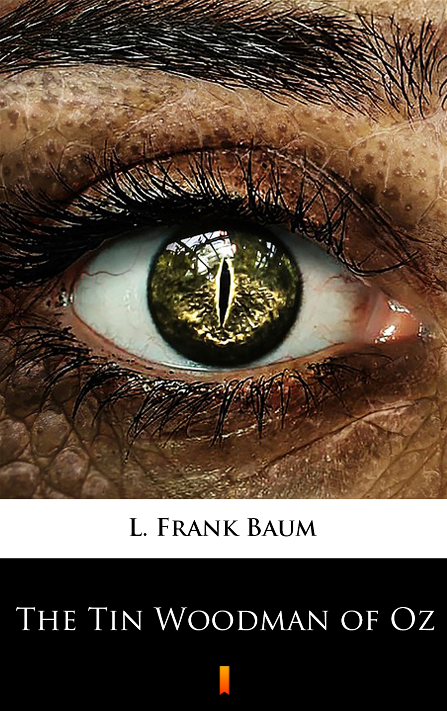 Tytuł: The Tin Woodman of Oz
Autor: L. Frank Baum
Wydawnictwo: KtoCzyta.pl
Formaty: EPUB, MOBI