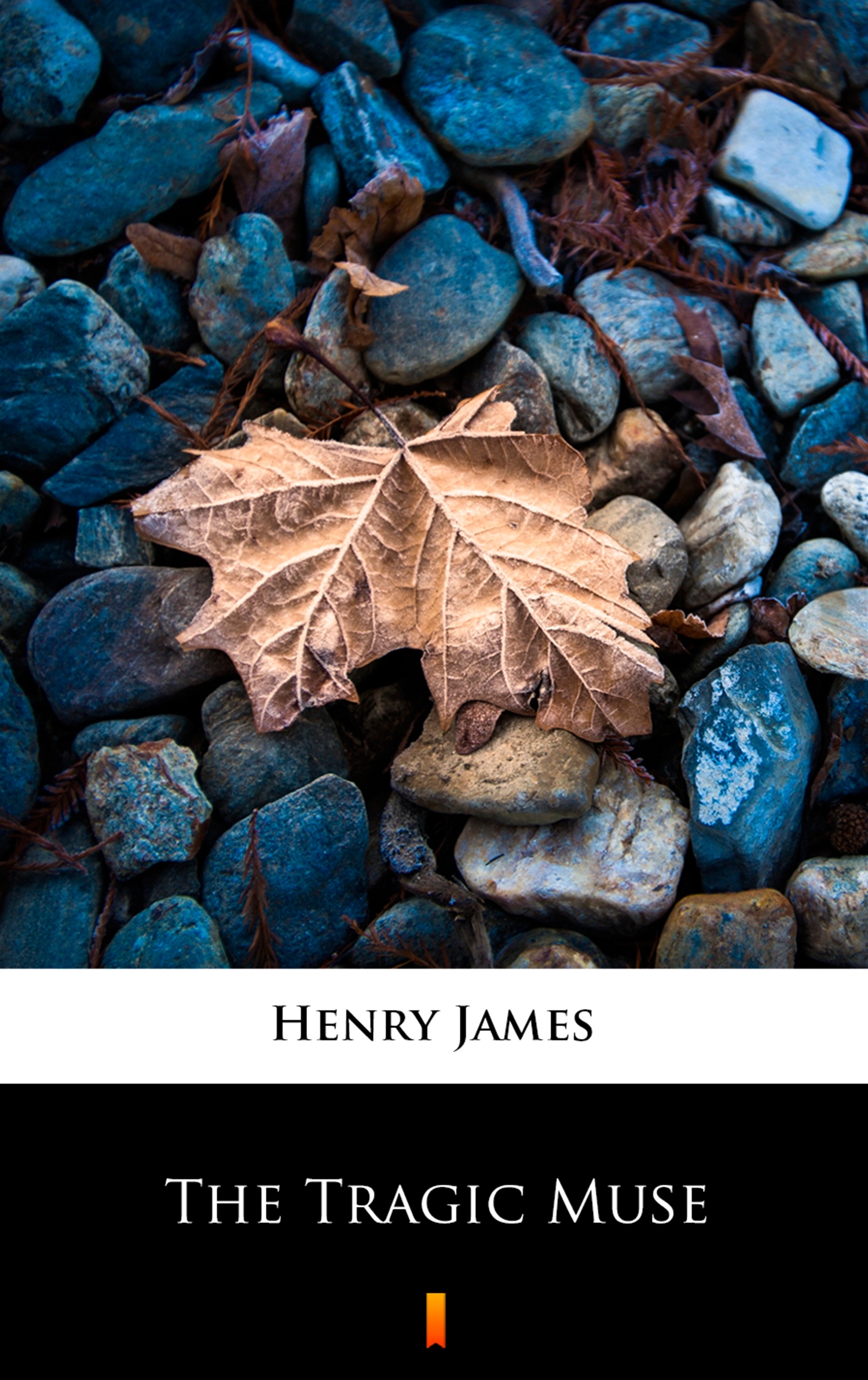 Tytuł: The Tragic Muse
Autor: Henry James
Wydawnictwo: KtoCzyta.pl
Formaty: EPUB, MOBI