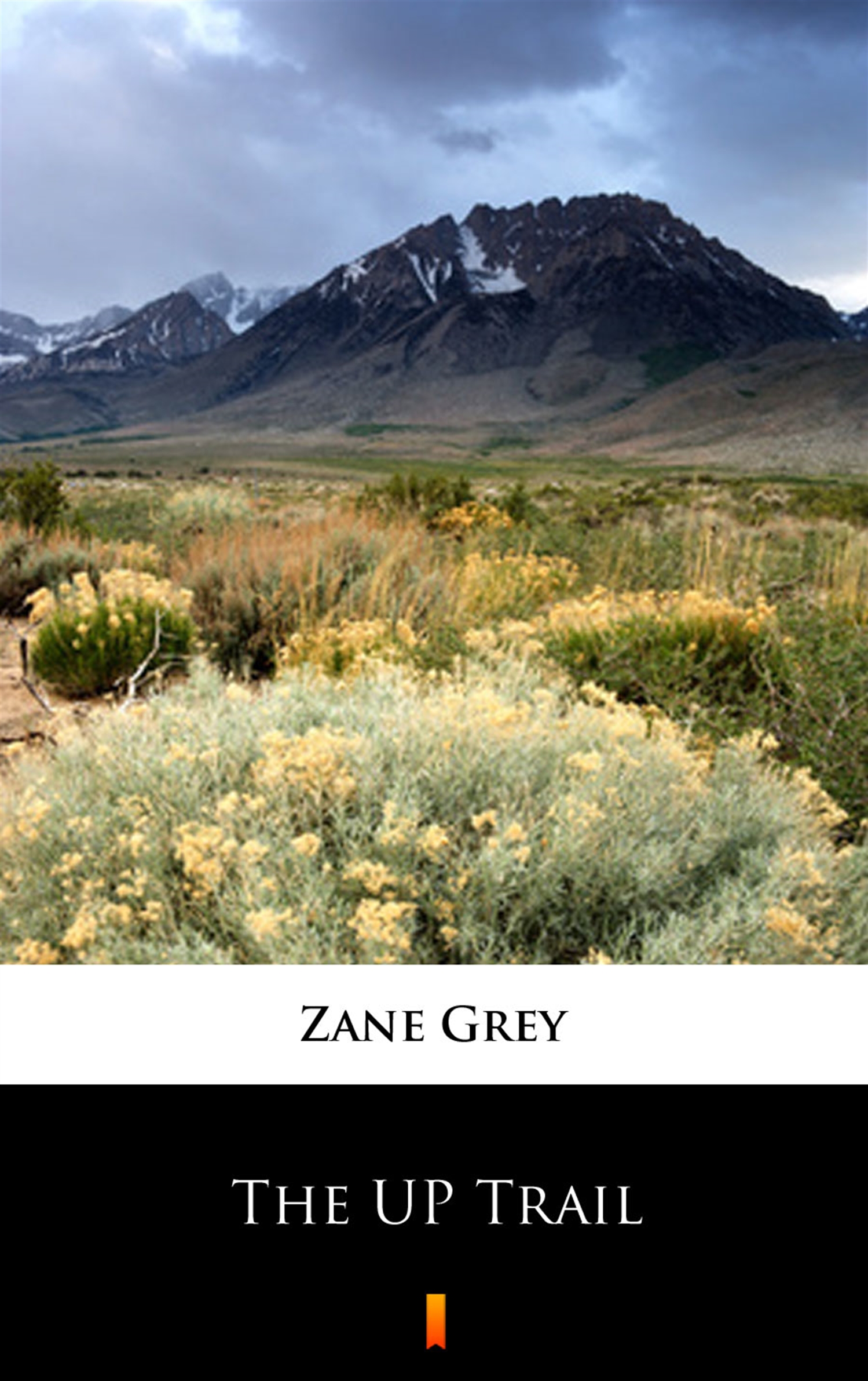 Tytuł: The UP Trail
Autor: Zane Grey
Wydawnictwo: KtoCzyta.pl
Formaty: EPUB, MOBI