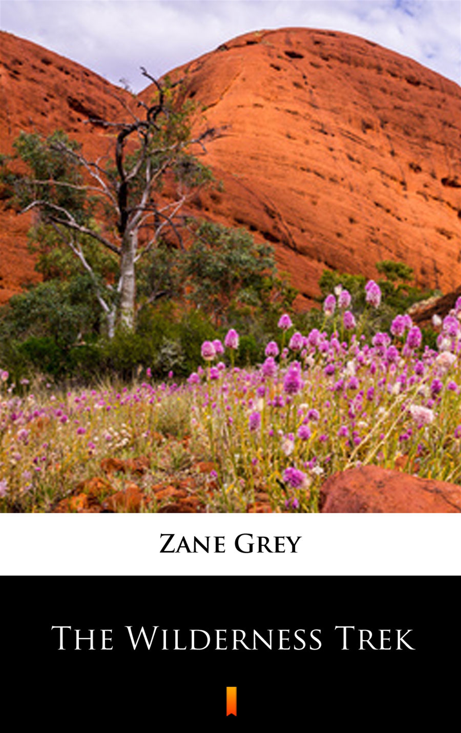 Tytuł: The Wilderness Trek
Autor: Zane Grey
Wydawnictwo: KtoCzyta.pl
Formaty: EPUB, MOBI