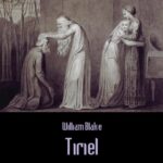 Tytuł: Tiriel
Autor: William Blake
Wydawnictwo: Armoryka
Formaty: EPUB, MOBI