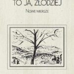 To ja, złodziej — okładka e-booka