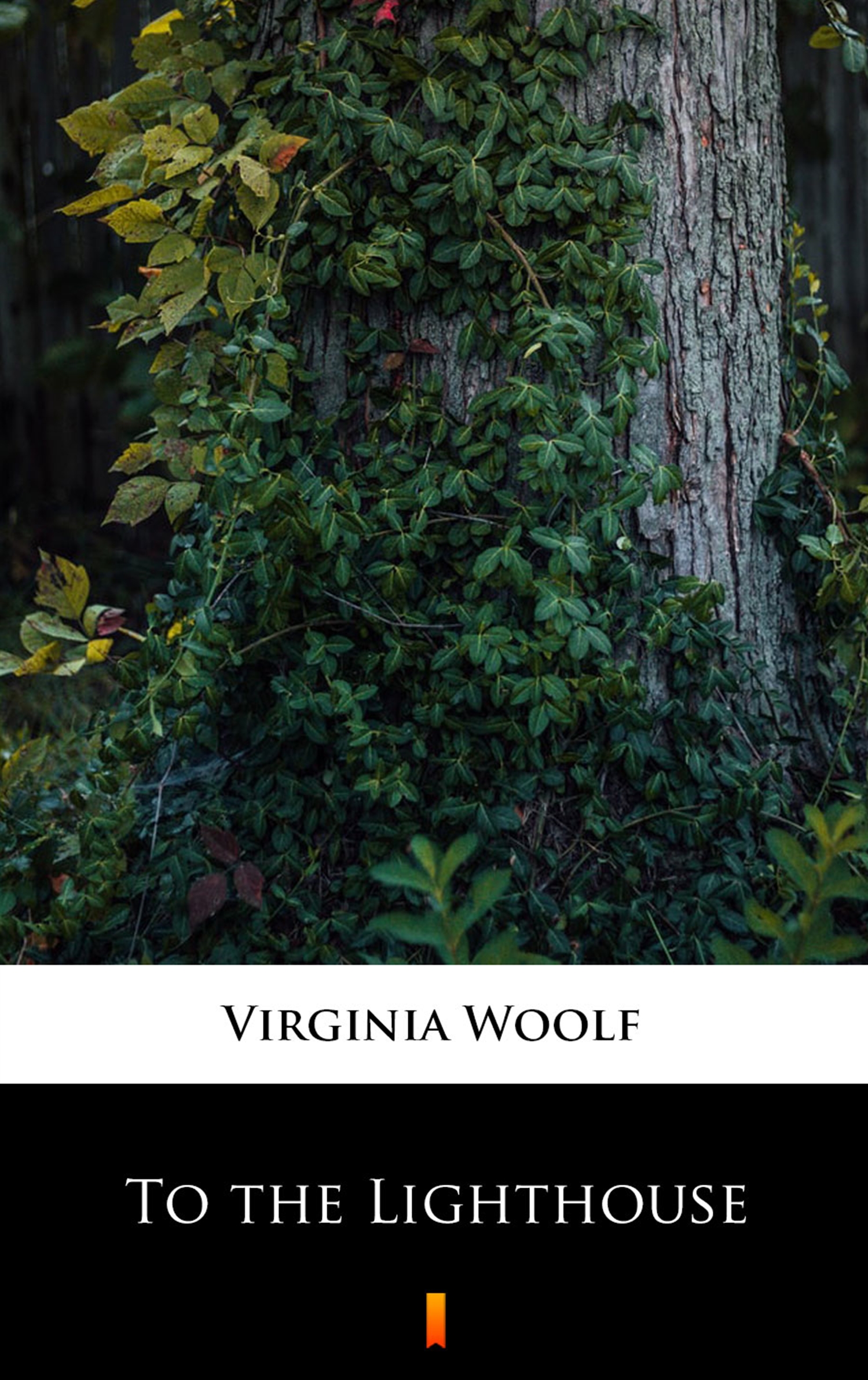 Tytuł: To the Lighthouse
Autor: Virginia Woolf
Wydawnictwo: KtoCzyta.pl
Formaty: EPUB, MOBI