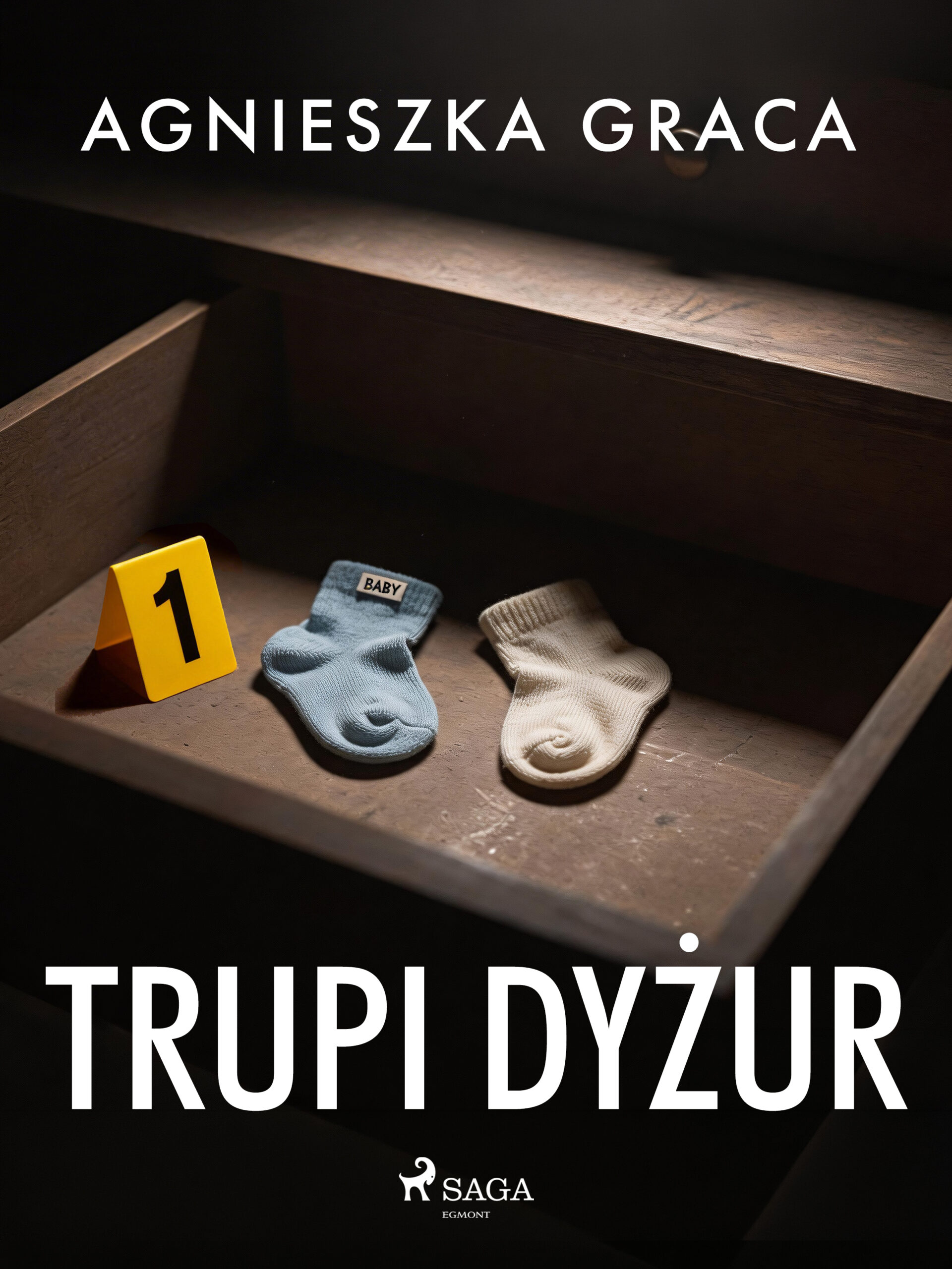 Trupi dyżur — okładka e-booka