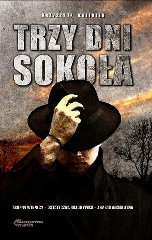 Trzy dni Sokoła — okładka e-booka