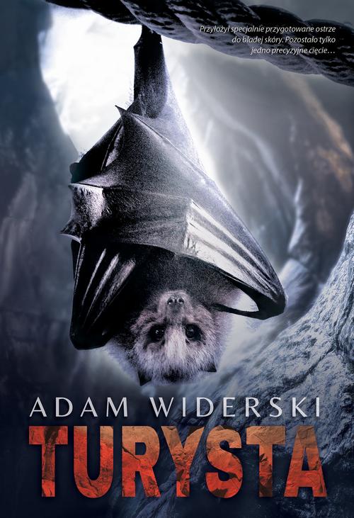 Tytuł: Turysta
Autor: Adam Widerski
Wydawnictwo: Dreams
Formaty: EPUB, MOBI