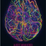 Tytuł: Twój mózg płata Ci figle
Autor: Moukheiber Albert
Wydawnictwo: Vis-a-vis Etiuda
Formaty: EPUB, PDF, MOBI