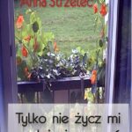 Tylko nie życz mi spełnienia marzeń — okładka e-booka