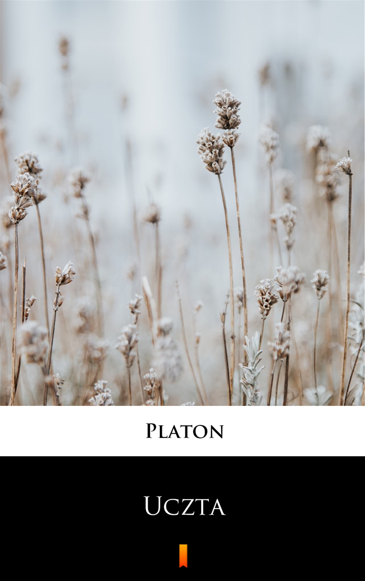 Tytuł: Uczta
Autor: Platon
Wydawnictwo: KtoCzyta.pl
Formaty: EPUB, MOBI