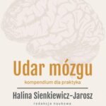 Udar mózgu. Kompendium dla praktyka — okładka e-booka