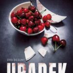 Tytuł: Upadek
Autor: Katarzyna Żwirełło
Wydawnictwo: Dreams
Formaty: EPUB, MOBI