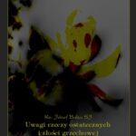 Tytuł: Uwagi rzeczy ostatecznych i złości grzechowej
Autor: Ks. Józef Baka
Wydawnictwo: Armoryka
Formaty: MOBI, EPUB