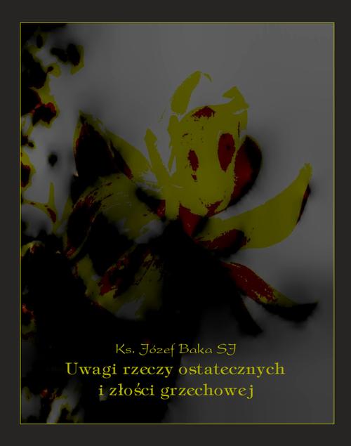 Tytuł: Uwagi rzeczy ostatecznych i złości grzechowej
Autor: Ks. Józef Baka
Wydawnictwo: Armoryka
Formaty: MOBI, EPUB