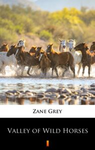 Tytuł: Valley of Wild Horses
Autor: Zane Grey
Wydawnictwo: KtoCzyta.pl
Formaty: EPUB, MOBI
