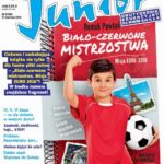 Tytuł: Victor Junior 8/2016
Autor: 
Wydawnictwo: Cogito
Formaty: PDF