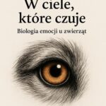 Tytuł: W ciele, które czuje Biologia emocji u zwierząt
Autor: Szymon Szafratowicz
Wydawnictwo: Wydawnictwo e-bookowo
Formaty: EPUB, PDF, MOBI