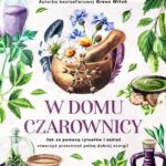 W domu czarownicy — okładka e-booka