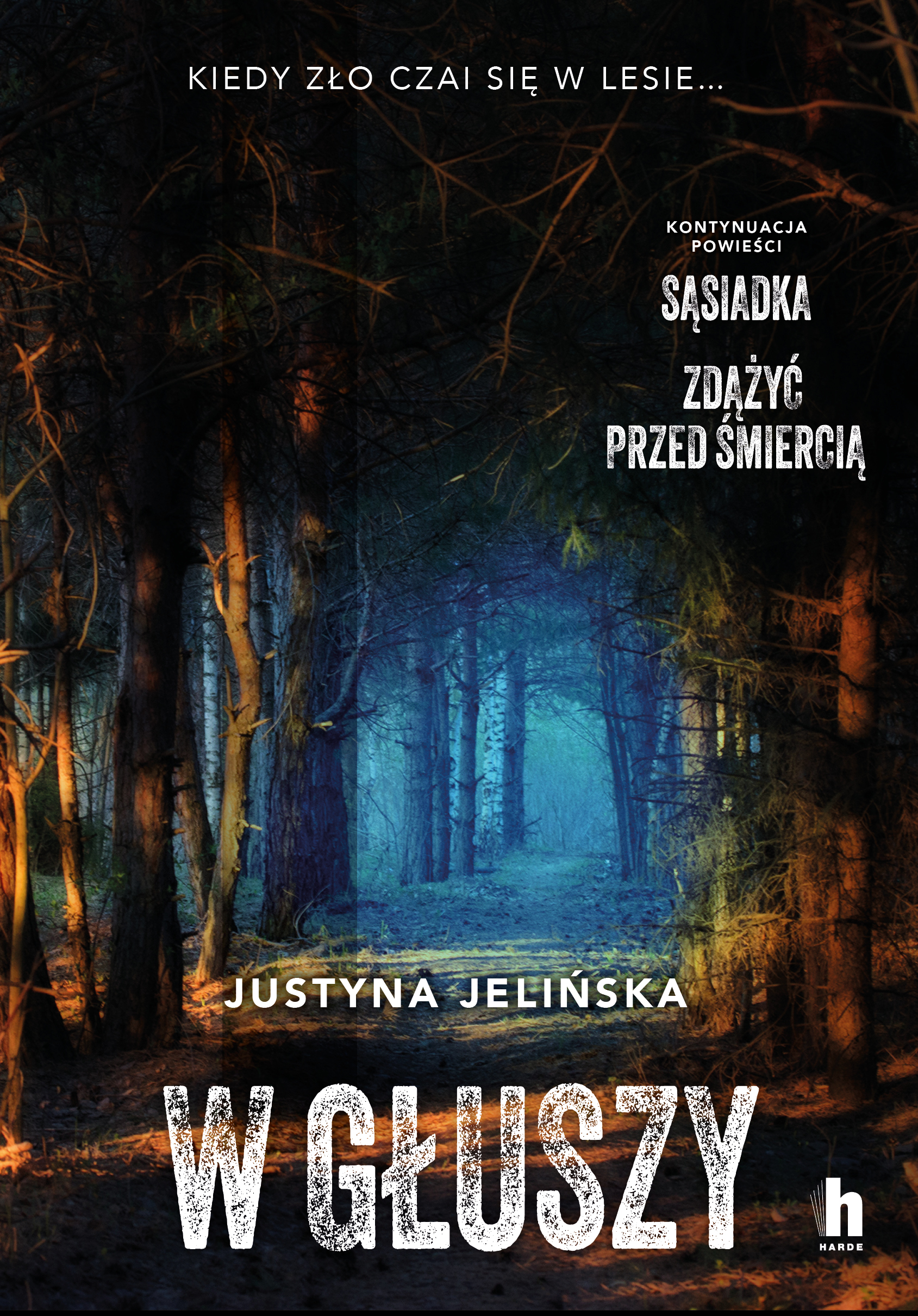 W głuszy — okładka e-booka