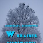W krainie niedźwiedzi — okładka e-booka