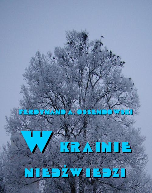 Tytuł: W krainie niedźwiedzi
Autor: Antoni Ferdynand Ossendowski
Wydawnictwo: Armoryka
Formaty: MOBI, EPUB