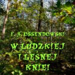 Tytuł: W ludzkiej i leśnej kniei
Autor: Antoni Ferdynand Ossendowski
Wydawnictwo: Armoryka
Formaty: MOBI, EPUB