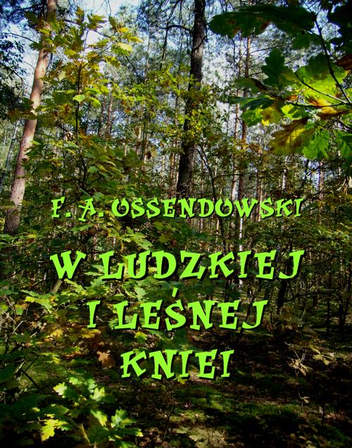 Tytuł: W ludzkiej i leśnej kniei
Autor: Antoni Ferdynand Ossendowski
Wydawnictwo: Armoryka
Formaty: MOBI, EPUB