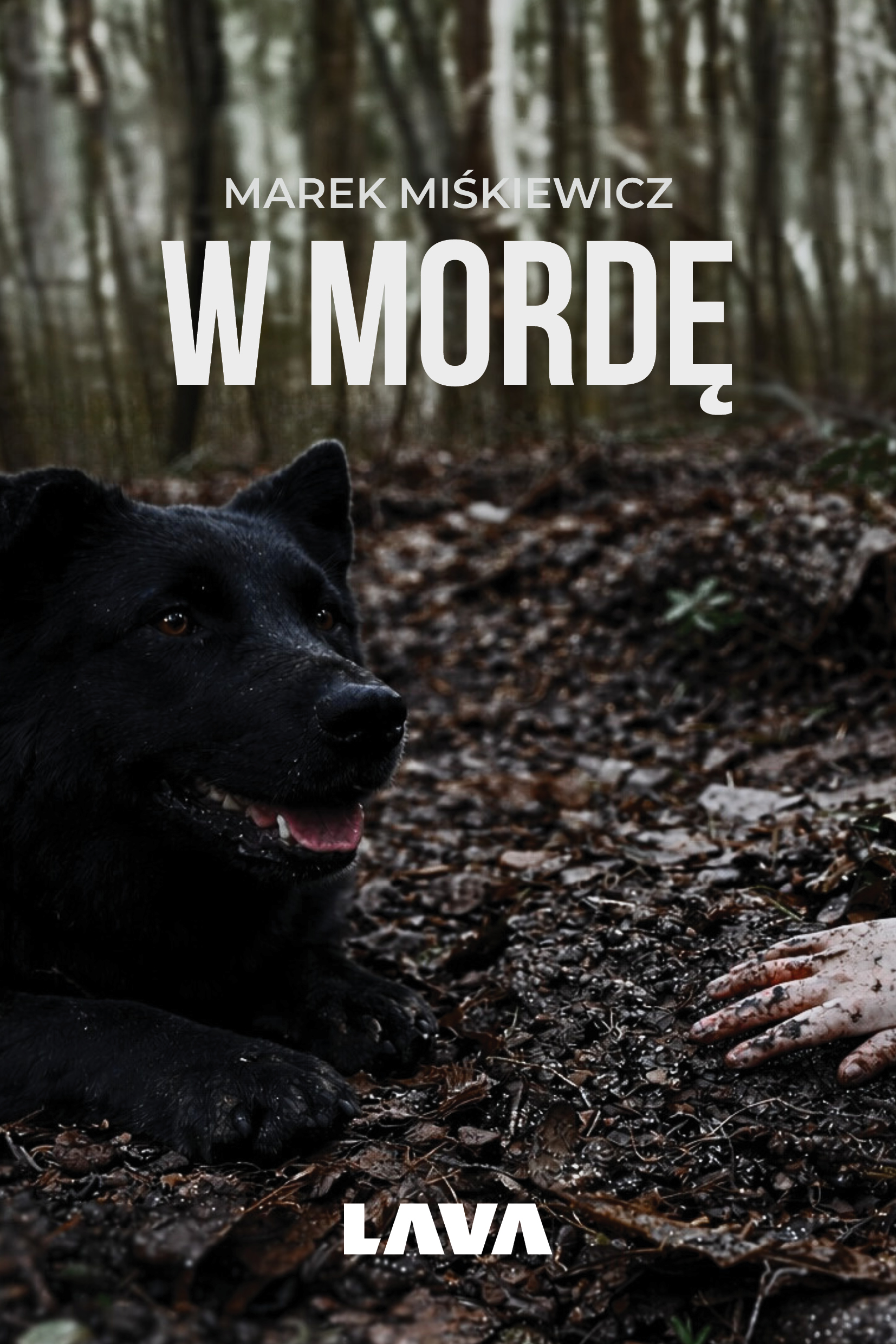 W mordę — okładka e-booka