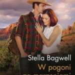 W pogoni za marzeniami — okładka e-booka