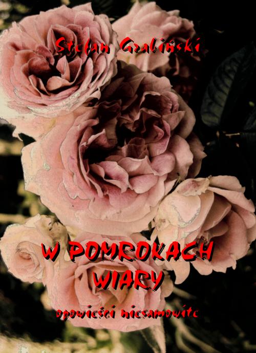 Tytuł: W pomrokach wiary. Opowieści niesamowite
Autor: Stefan Grabiński
Wydawnictwo: Armoryka
Formaty: PDF