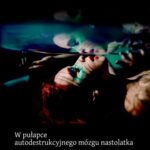 Tytuł: W pułapce autodestrukcyjnego mózgu nastolatka. Skuteczna terapia
Autor: Katarzyna Kucharska
Wydawnictwo: Wydawnictwo Naukowe UKSW
Formaty: PDF