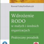 Wdrożenie RODO w małych i średnich organizacjach. Praktyczny poradnik — okładka e-booka