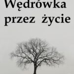 Wędrówka przez życie — okładka e-booka