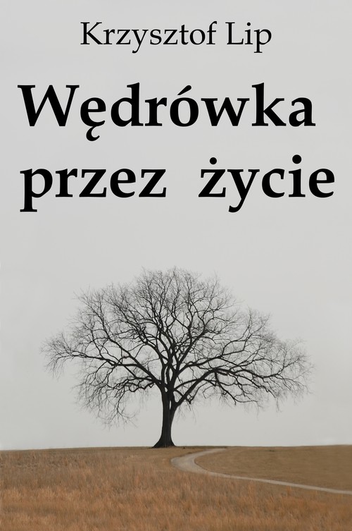 Wędrówka przez życie — okładka
