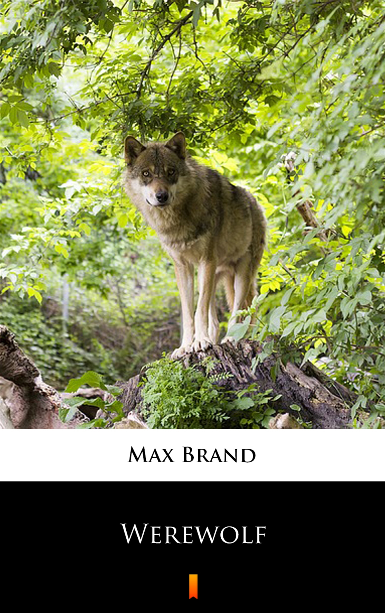 Tytuł: Werewolf
Autor: Max Brand
Wydawnictwo: KtoCzyta.pl
Formaty: EPUB, MOBI