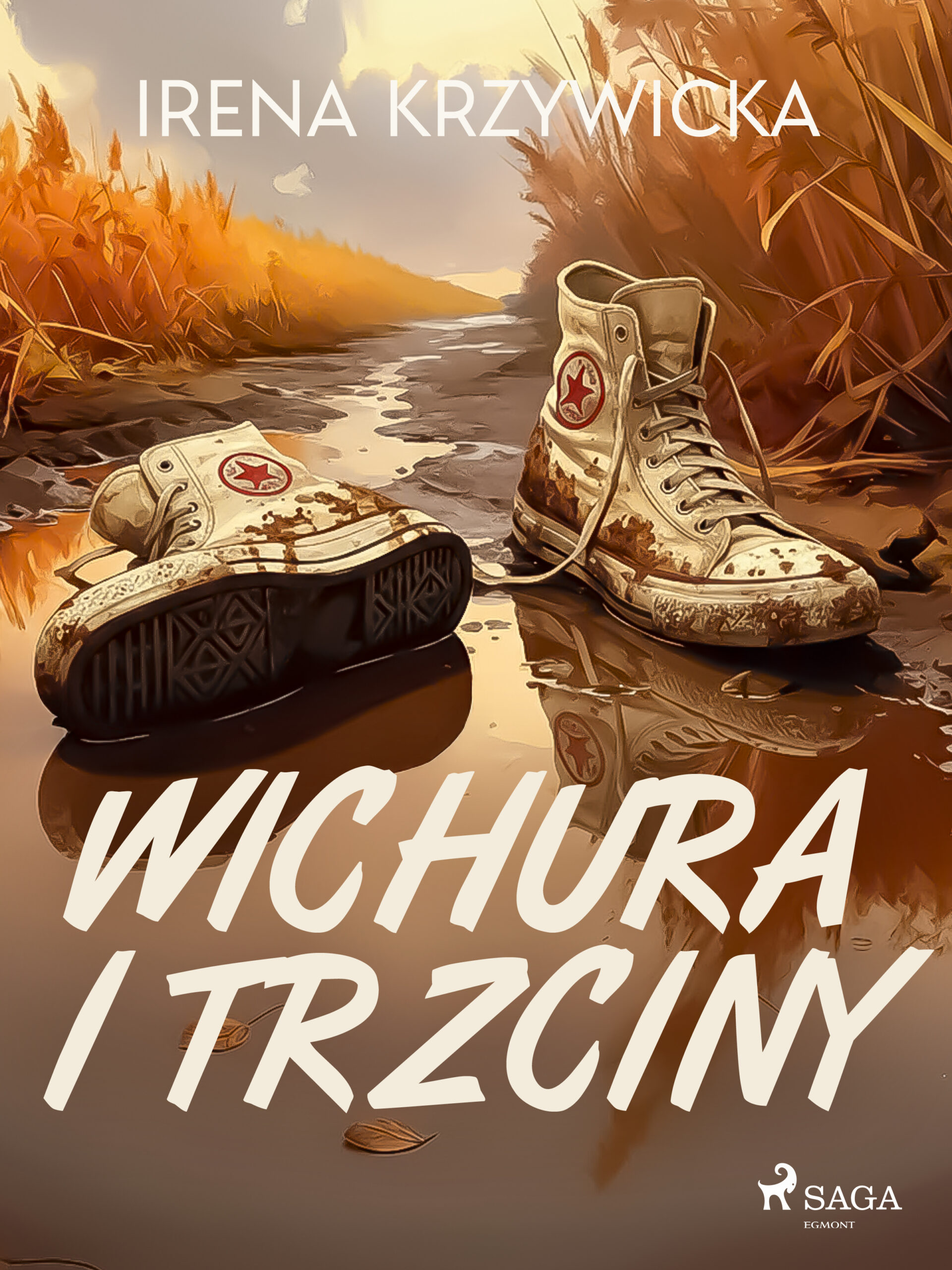Wichura i trzciny — okładka e-booka