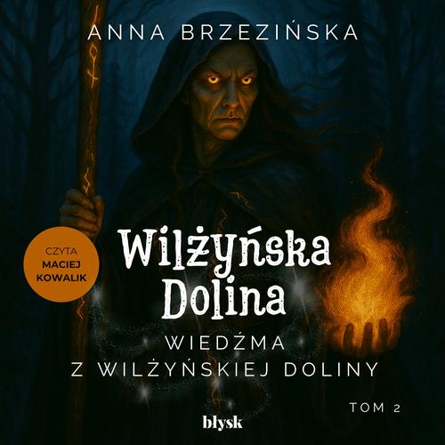 Tytuł: Wiedźma z Wilżyńskiej Doliny
Autor: Anna Brzezińska
Wydawnictwo: Wydawnictwo Błysk
Formaty: MP3