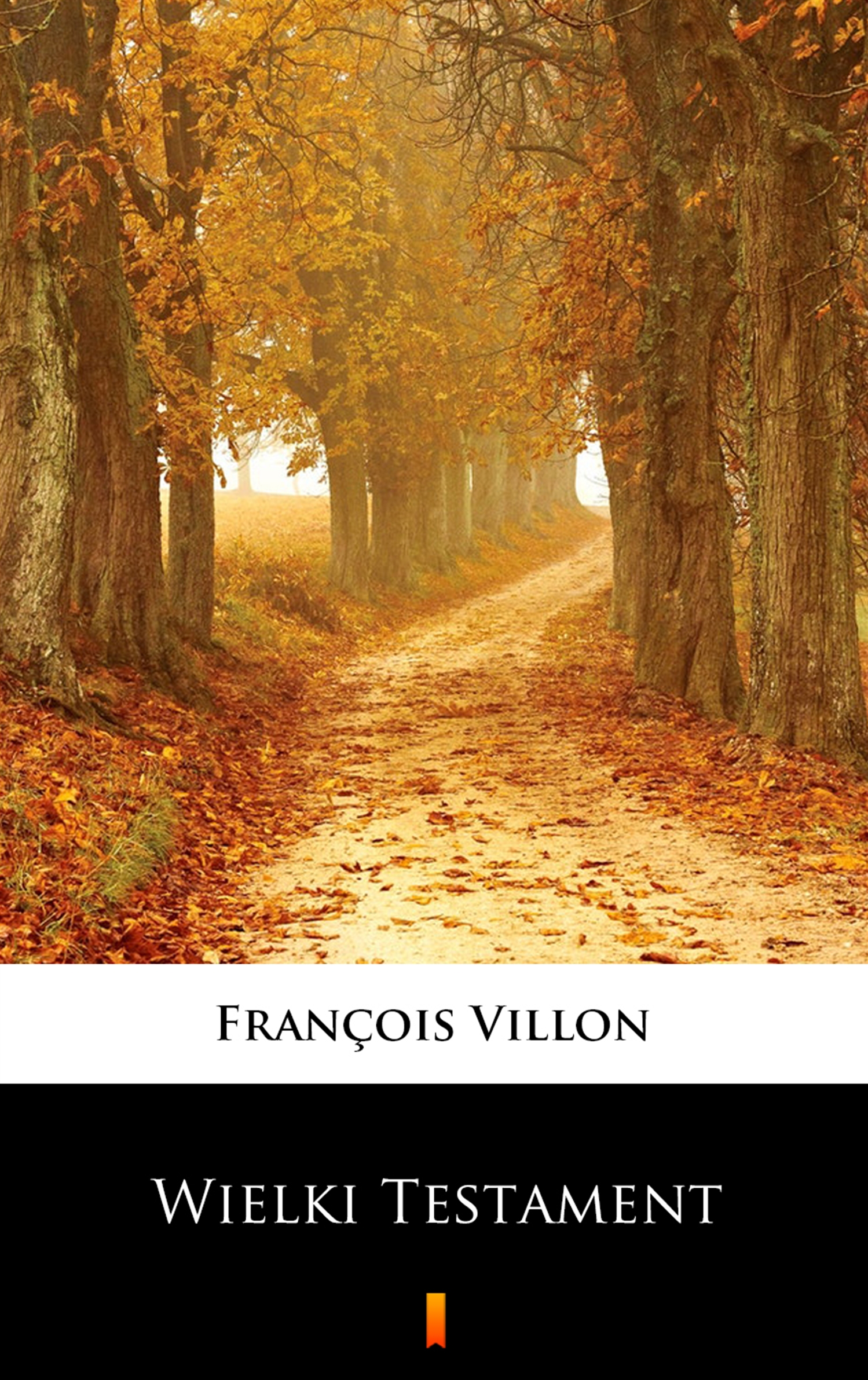 Tytuł: Wielki Testament
Autor: François Villon
Wydawnictwo: KtoCzyta.pl
Formaty: EPUB, MOBI