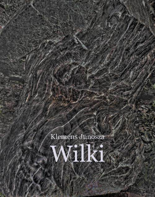 Tytuł: Wilki. Z notatek komornika sądowego
Autor: Klemens Junosza
Wydawnictwo: Armoryka
Formaty: MOBI, EPUB